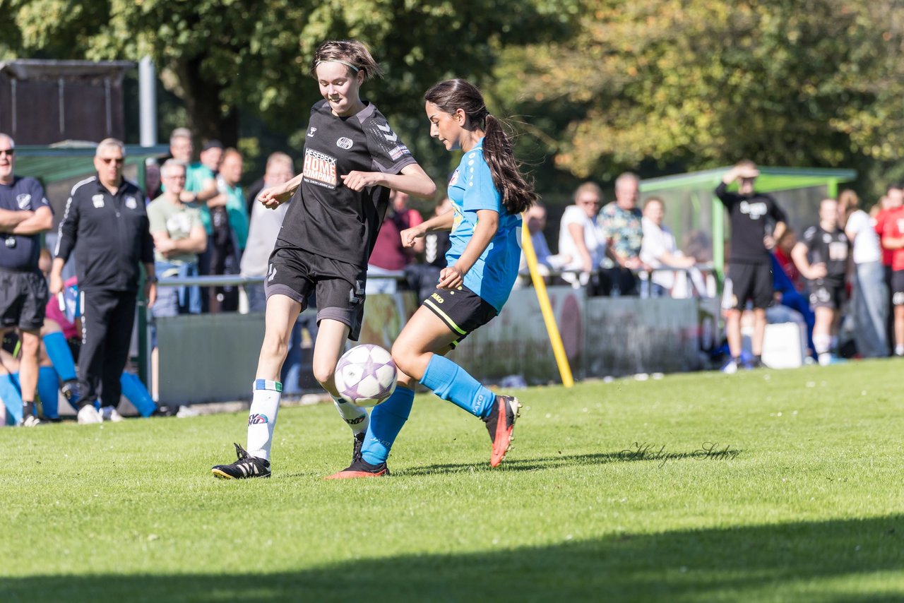 Bild 321 - wBJ SV Henstedt Ulzburg - FSG Oldendorf Itzehoe : Ergebnis: 2:5